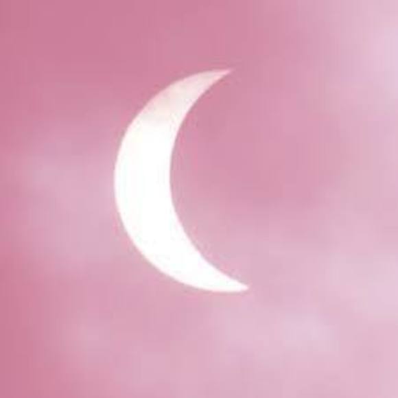 Meet your Posher, Shoshana - Picture 1 of 1